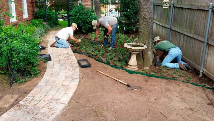 Ron Phillips Landscaping Services